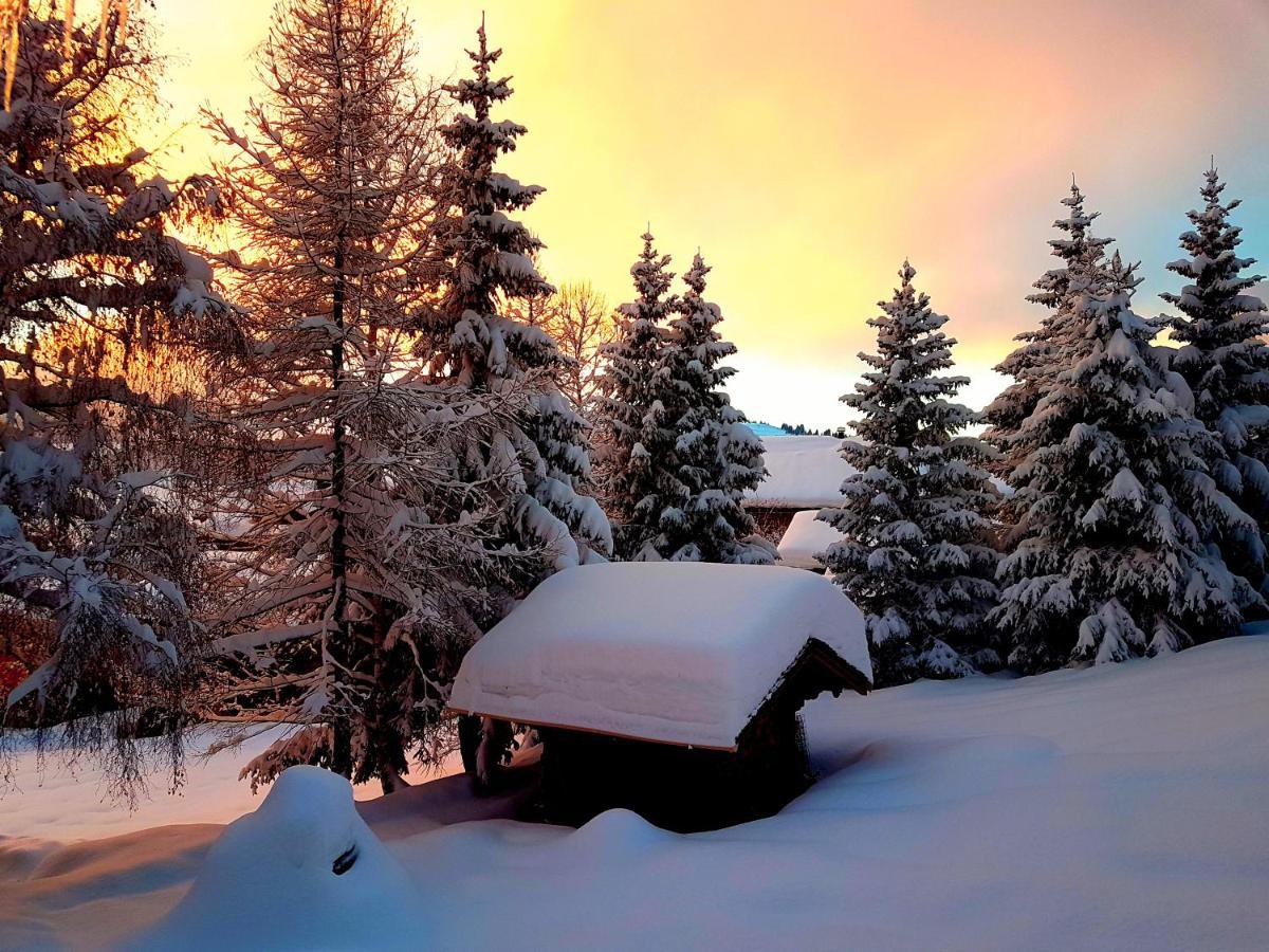 Appartement Cosy Aux Saisies N1 Les Saisies Exteriör bild